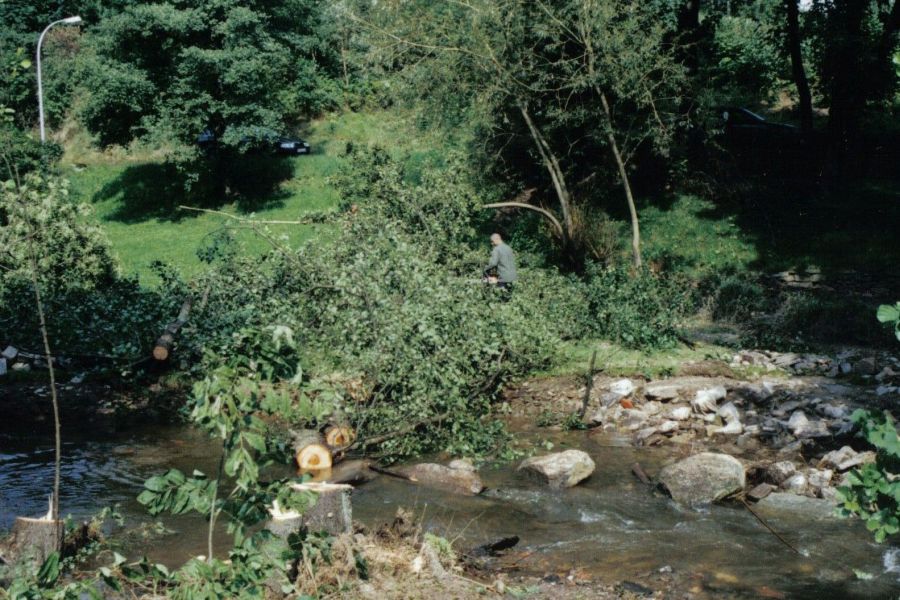 2002 - Elbeflut in Mulda/Sachsen